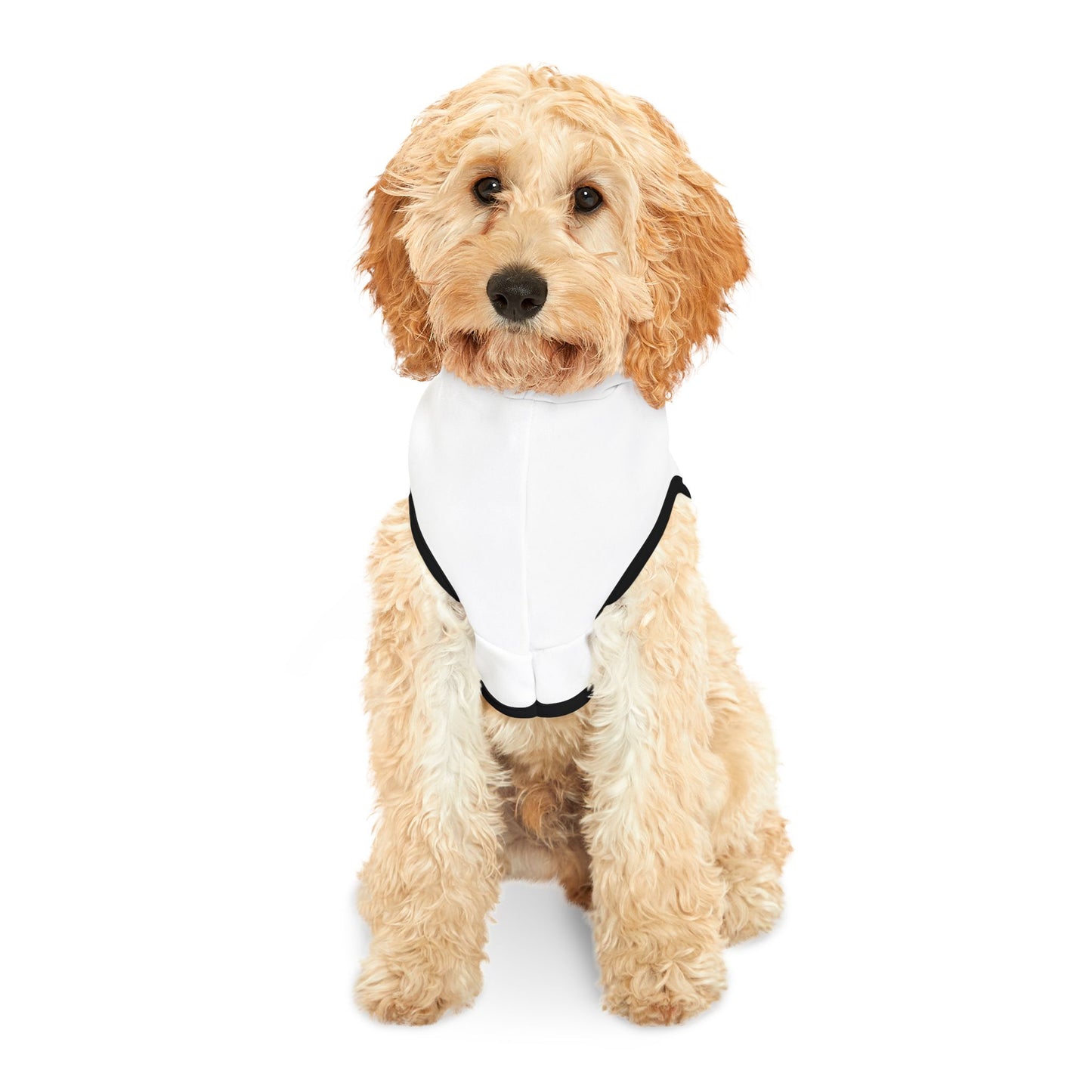 β¨β¨ Cappottino GodSaveThePet per il tuo cucciolo πΆπ
