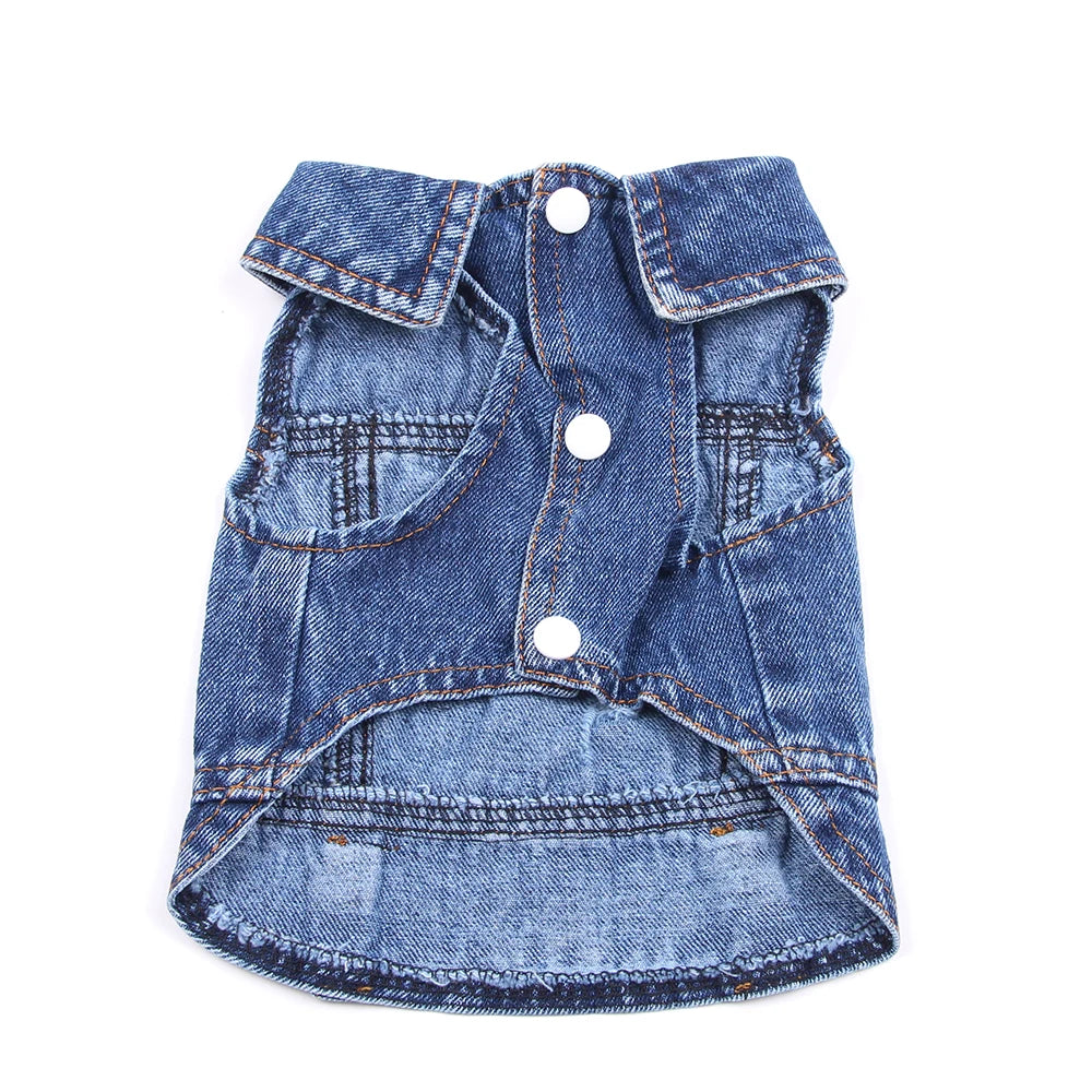 ๐พ Denim per il tuo Piccolo Amico ๐พ