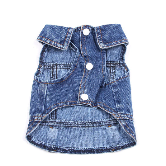 πΎ Denim per il tuo Piccolo Amico πΎ