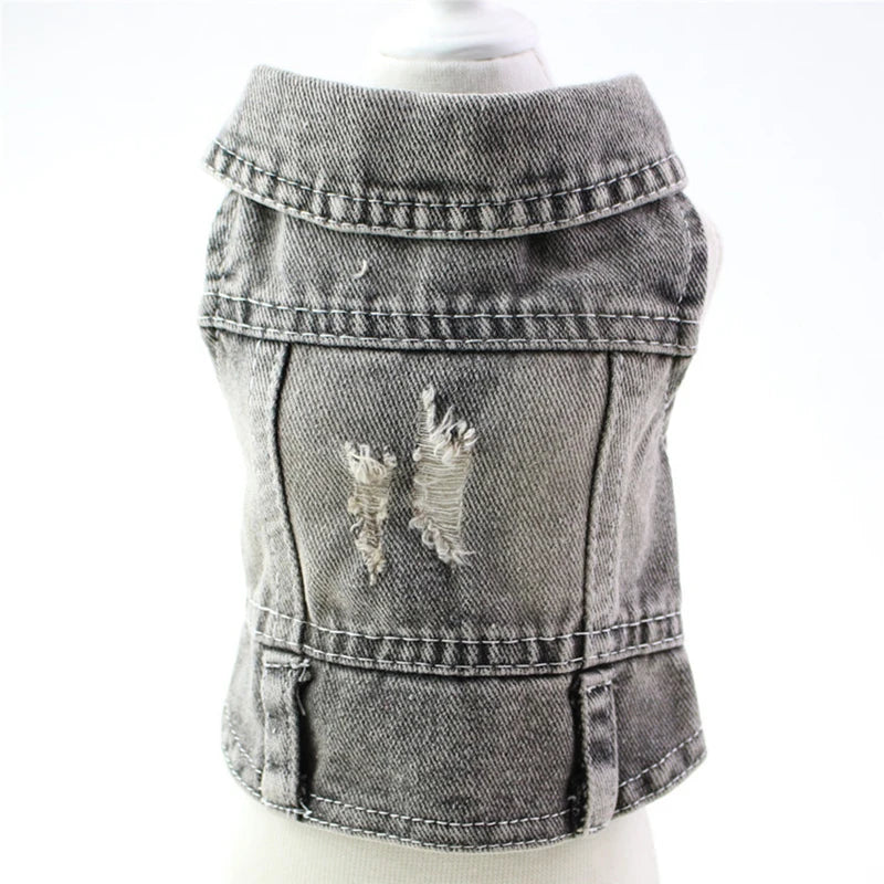 ๐พ Denim per il tuo Piccolo Amico ๐พ