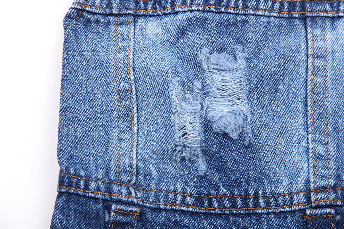 ๐พ Denim per il tuo Piccolo Amico ๐พ
