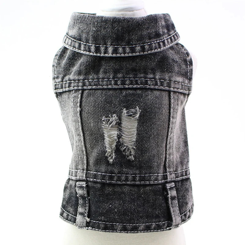 ๐พ Denim per il tuo Piccolo Amico ๐พ