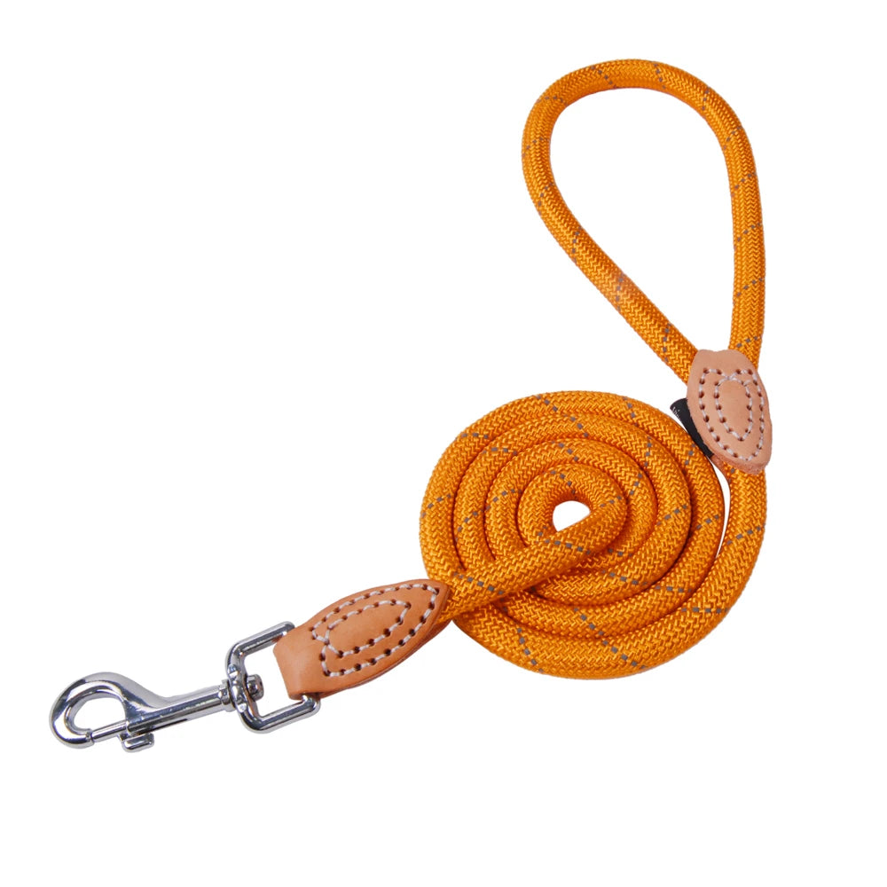 ๐พ Guinzaglio per cuccioli in sicurezza ๐พ