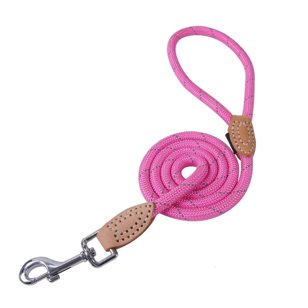 ๐พ Guinzaglio per cuccioli in sicurezza ๐พ