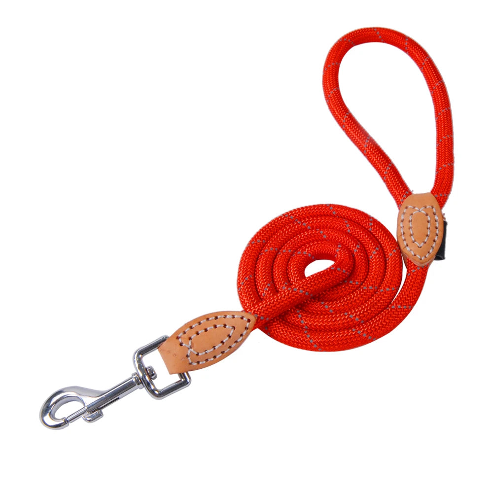 ๐พ Guinzaglio per cuccioli in sicurezza ๐พ