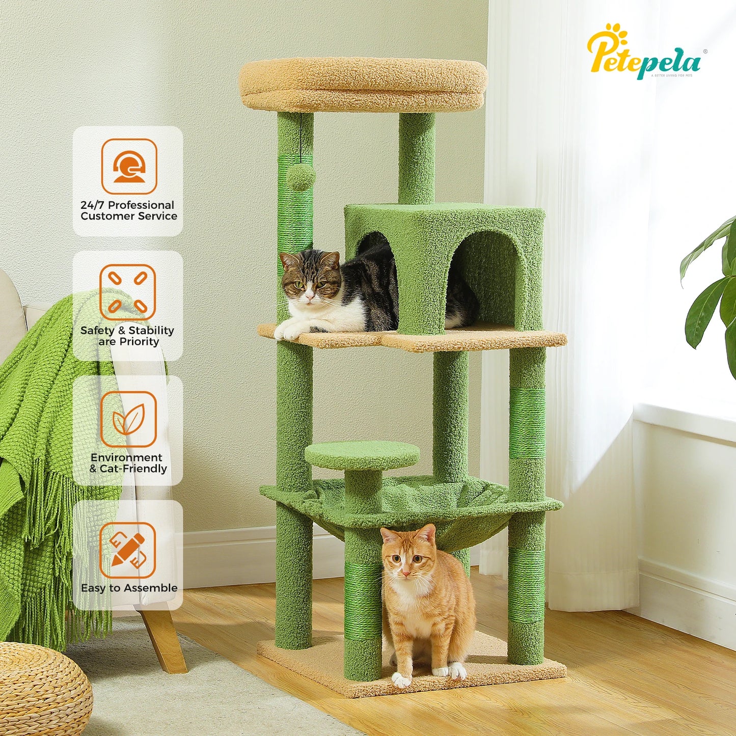 πΎ Torre delle meraviglie per gattini! π±β¨