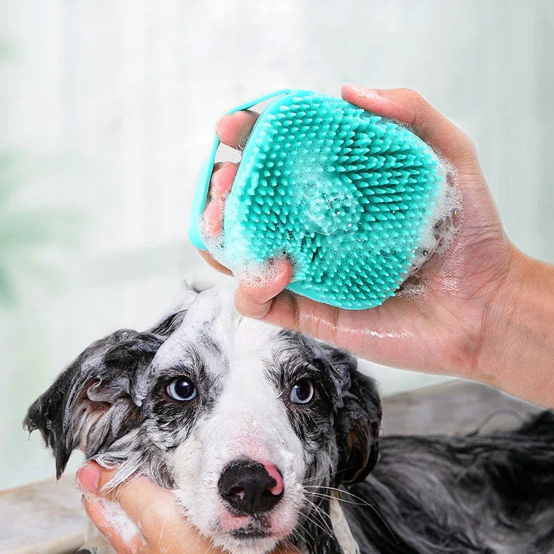 πΎ Coccole e Bagnetto per il Tuo Amico a Quattro Zampe πβ¨