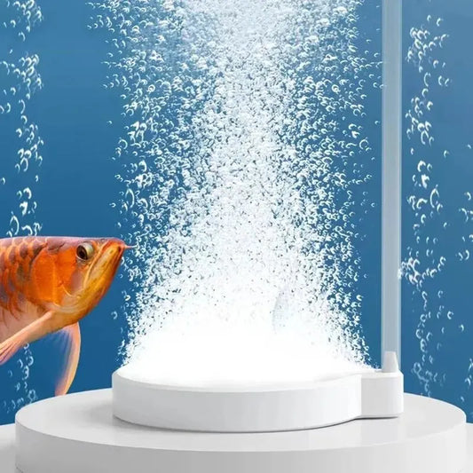 π§β¨Magia di Bubbles per il tuo Acquarioβ¨π§
