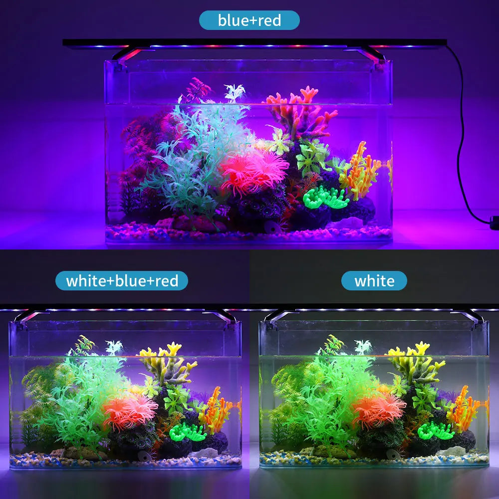 β¨ Luce Magica per il Tuo Acquario πβ¨