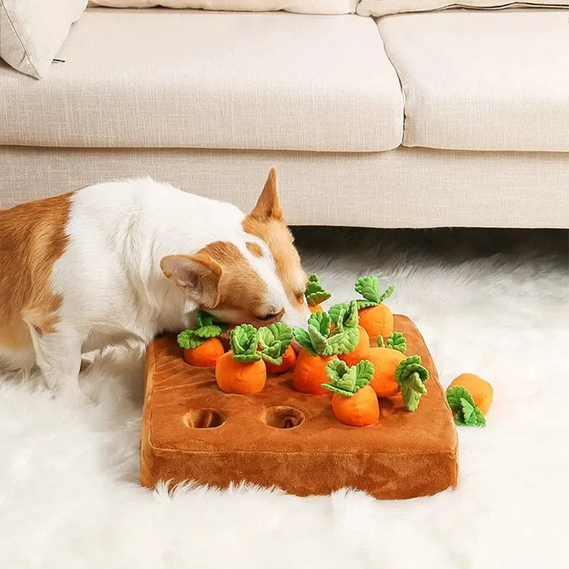 π₯ Il giocattolo Carota Morbidosa π