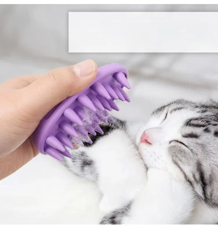 πΎπ Coccole e Bagnetti: spazzole per il tuo pelo πΆπ±