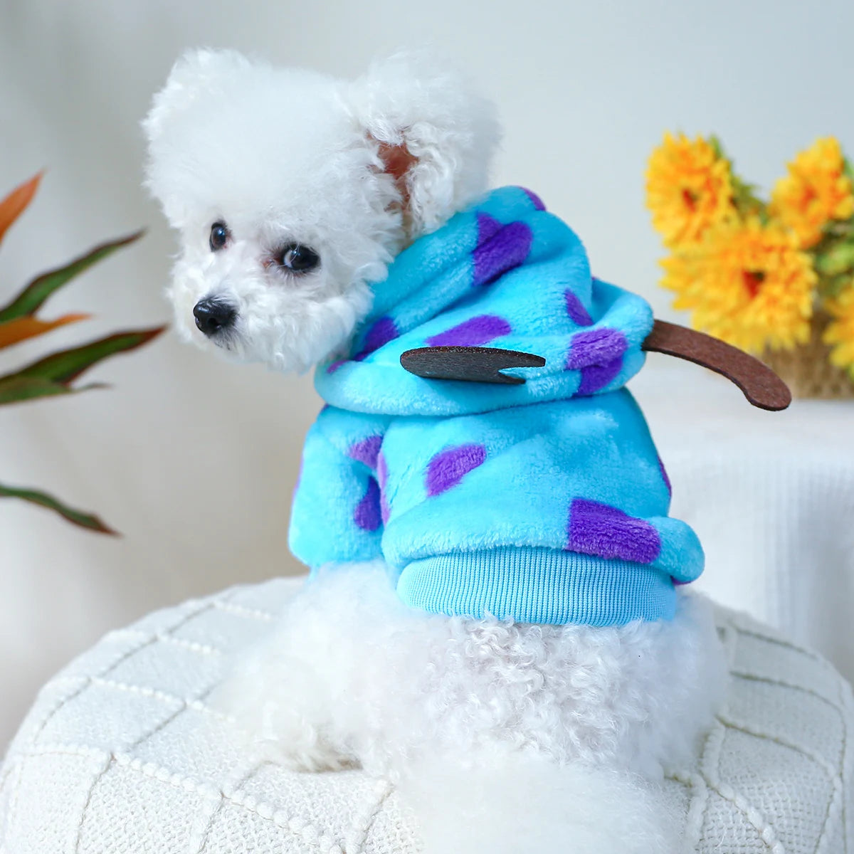 ๐ Coccole Mostruose per il Tuo Cucciolo ๐พ