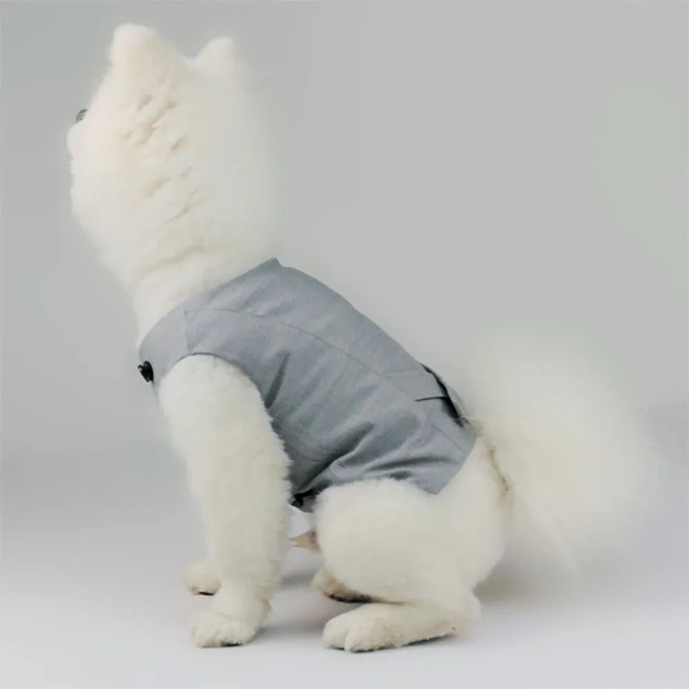 πβ¨ Cucciolo Chic in azione β¨π