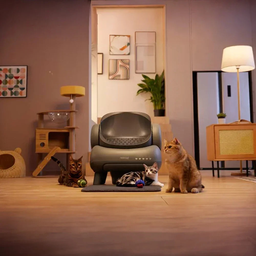 πΎ Magica Toilette per gatti autopulente: perfetta per il tuo amico π±π