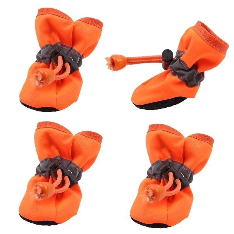 ๐ง๏ธ๐ฃ Scarpine coccole per zampette ๐พ
