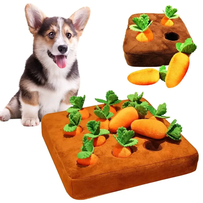 π₯ Il giocattolo Carota Morbidosa π