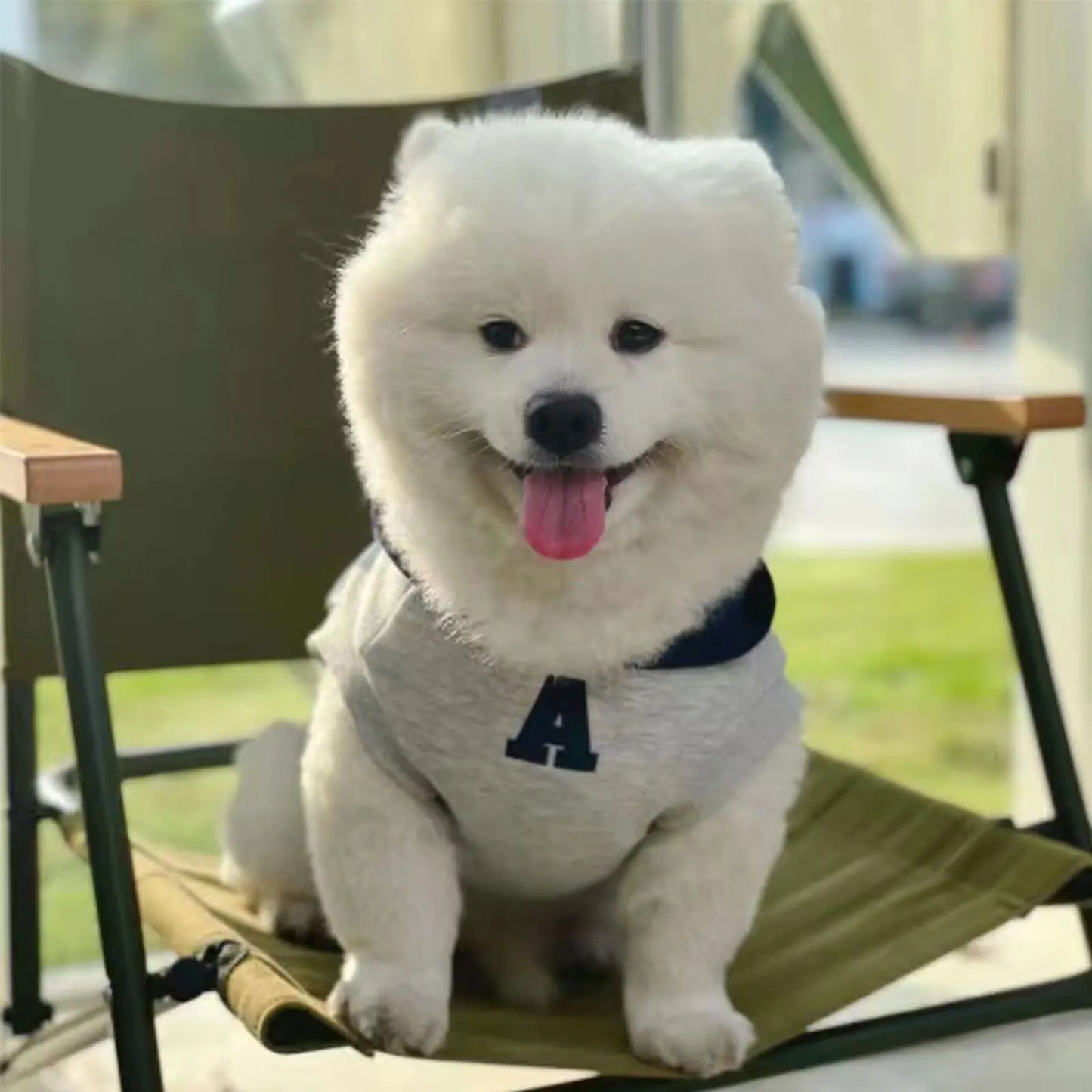 👶🐾 Felpa coccolosa per il tuo cucciolo 🐶❤️