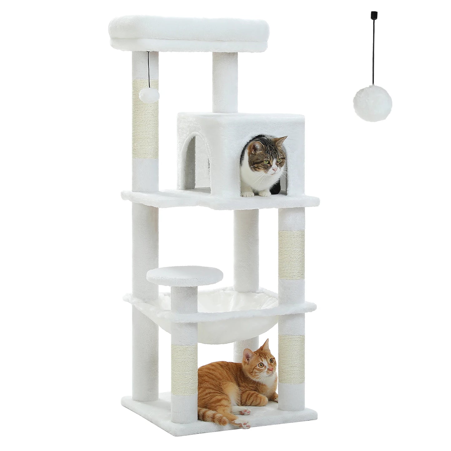 πΎ Torre delle meraviglie per gattini! π±β¨
