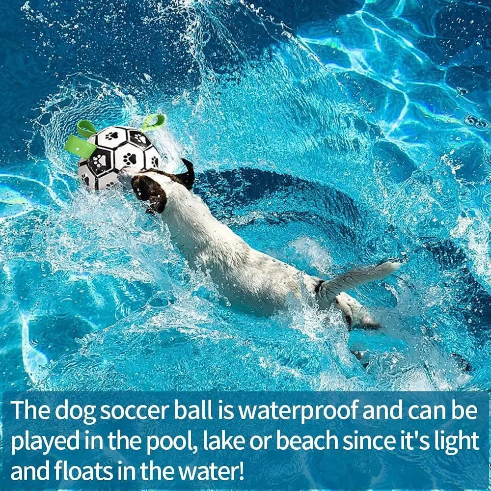 ๐๐ถ Calcio Cucciolo: gioco interattivo per il tuo calciatore cuccioloso ๐พโจ