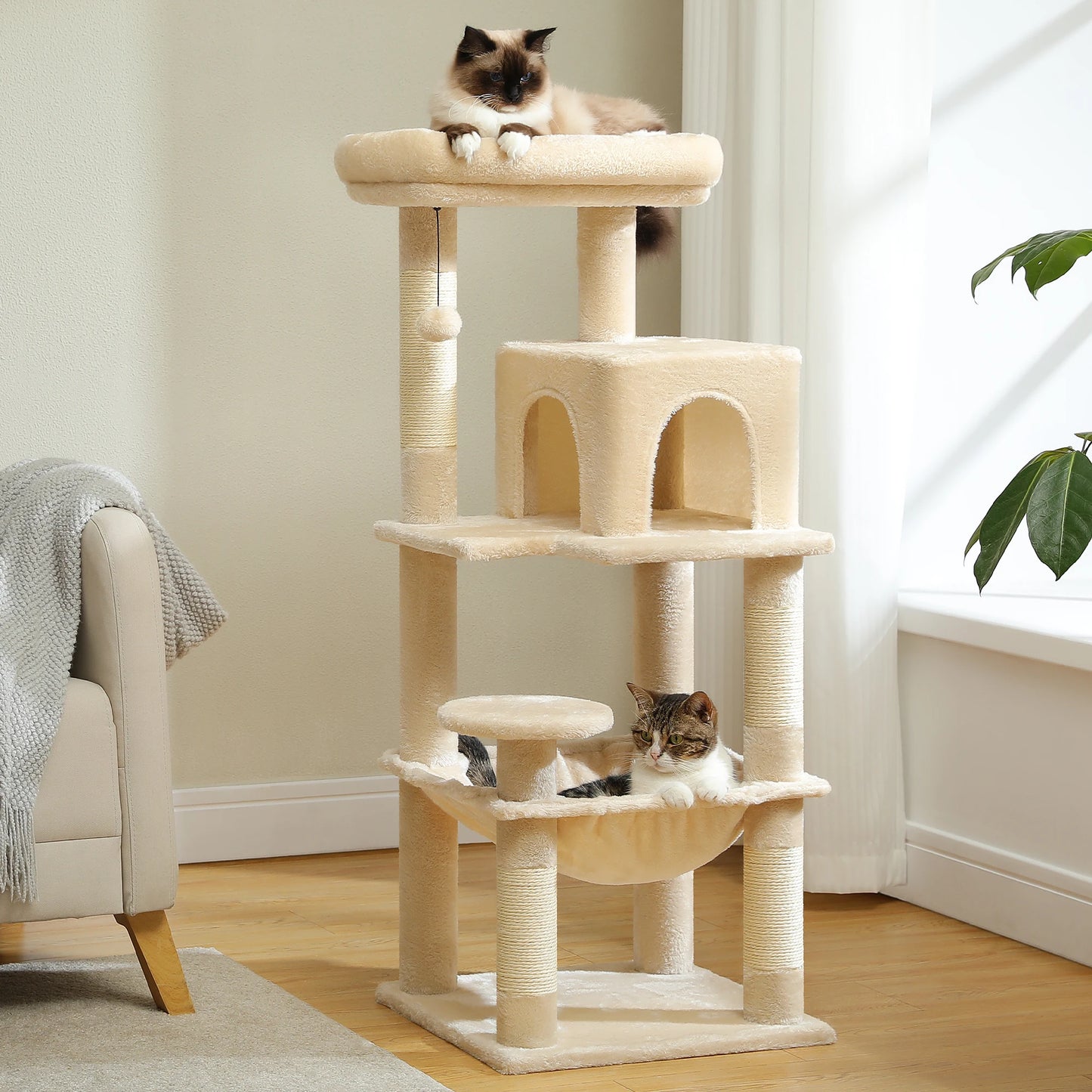 πΎ Torre delle meraviglie per gattini! π±β¨