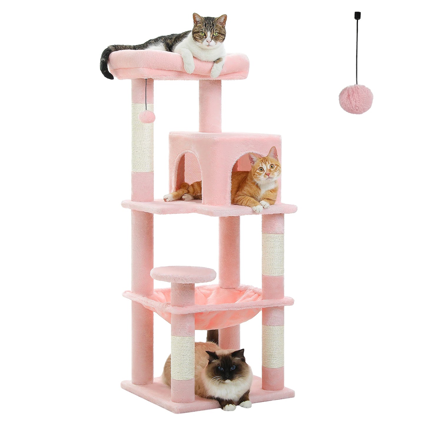 πΎ Torre delle meraviglie per gattini! π±β¨