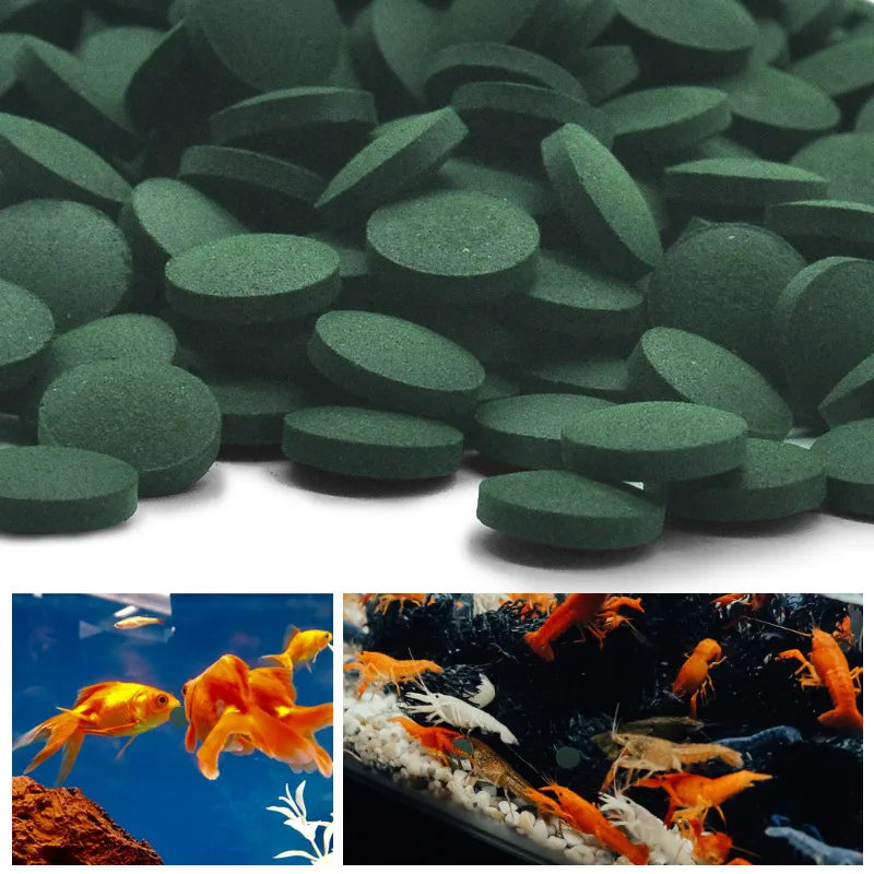 ππ Snack spirulina per il tuoi amici nell' acquario ππ