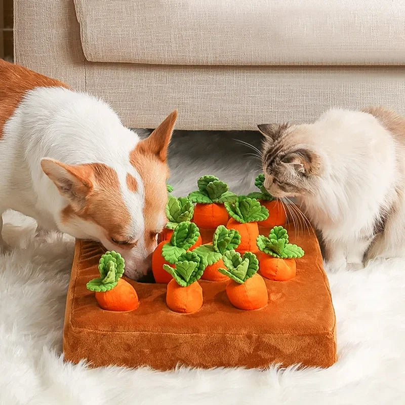 π₯ Il giocattolo Carota Morbidosa π