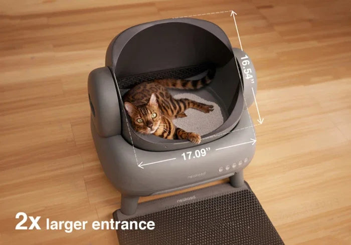 πΎ Magica Toilette per gatti autopulente: perfetta per il tuo amico π±π