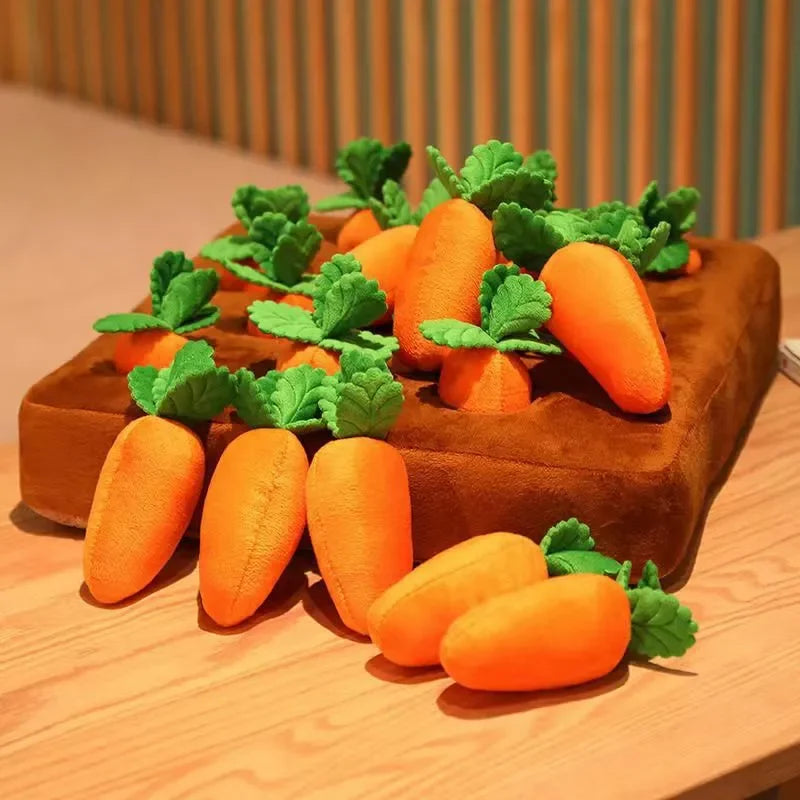 π₯ Il giocattolo Carota Morbidosa π