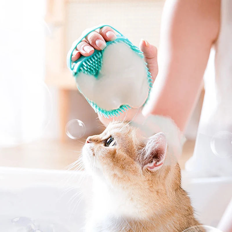 πΎ Coccole e Bagnetto per il Tuo Amico a Quattro Zampe πβ¨