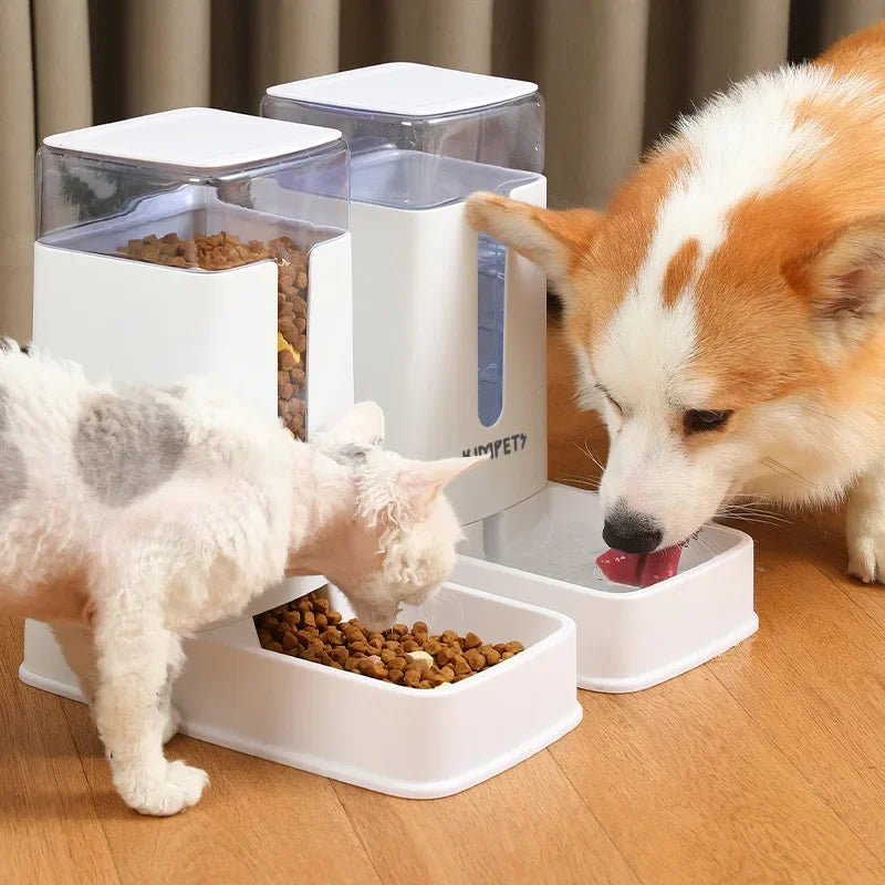 πΎπ₯° Cibo e acqua da sogno per i tuoi cuccioli π₯³πΆπ±