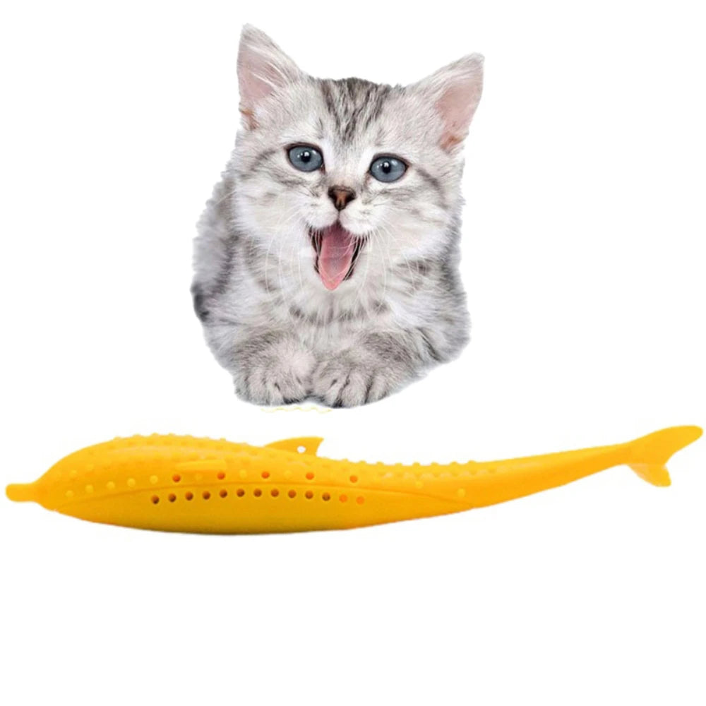 ππ Gioco miao-taste per denti sani ππ