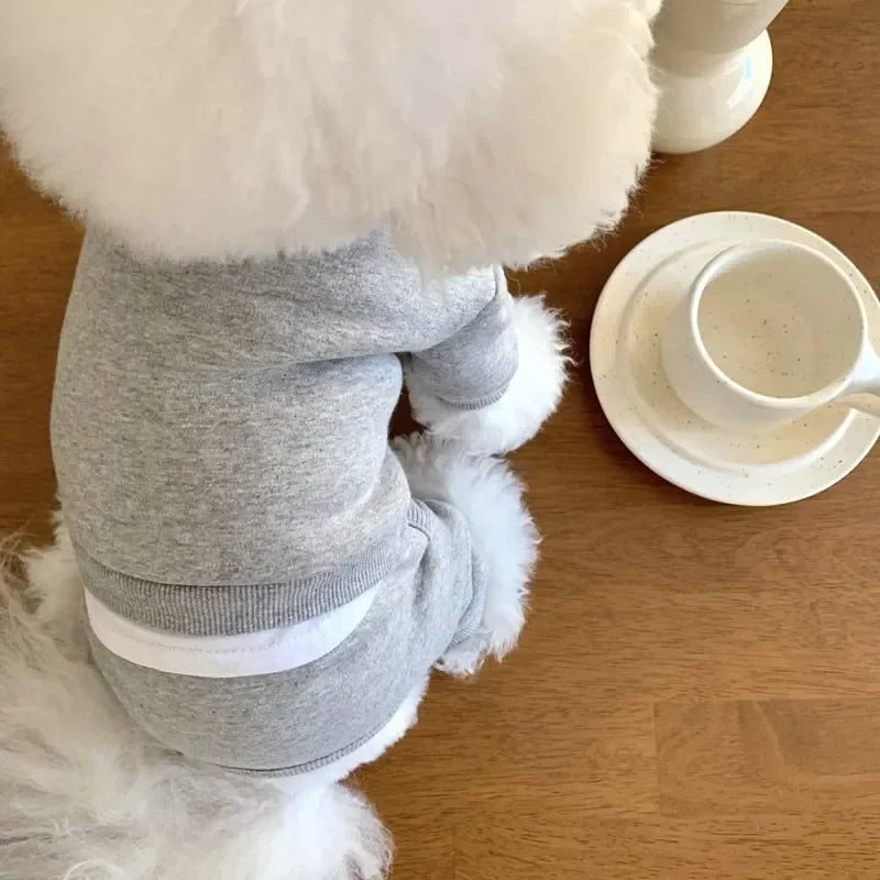 πΎ Tutine di Coccole per il Tuo Cucciolo πΆπ