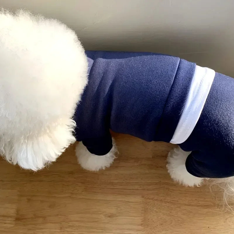 πΎ Tutine di Coccole per il Tuo Cucciolo πΆπ