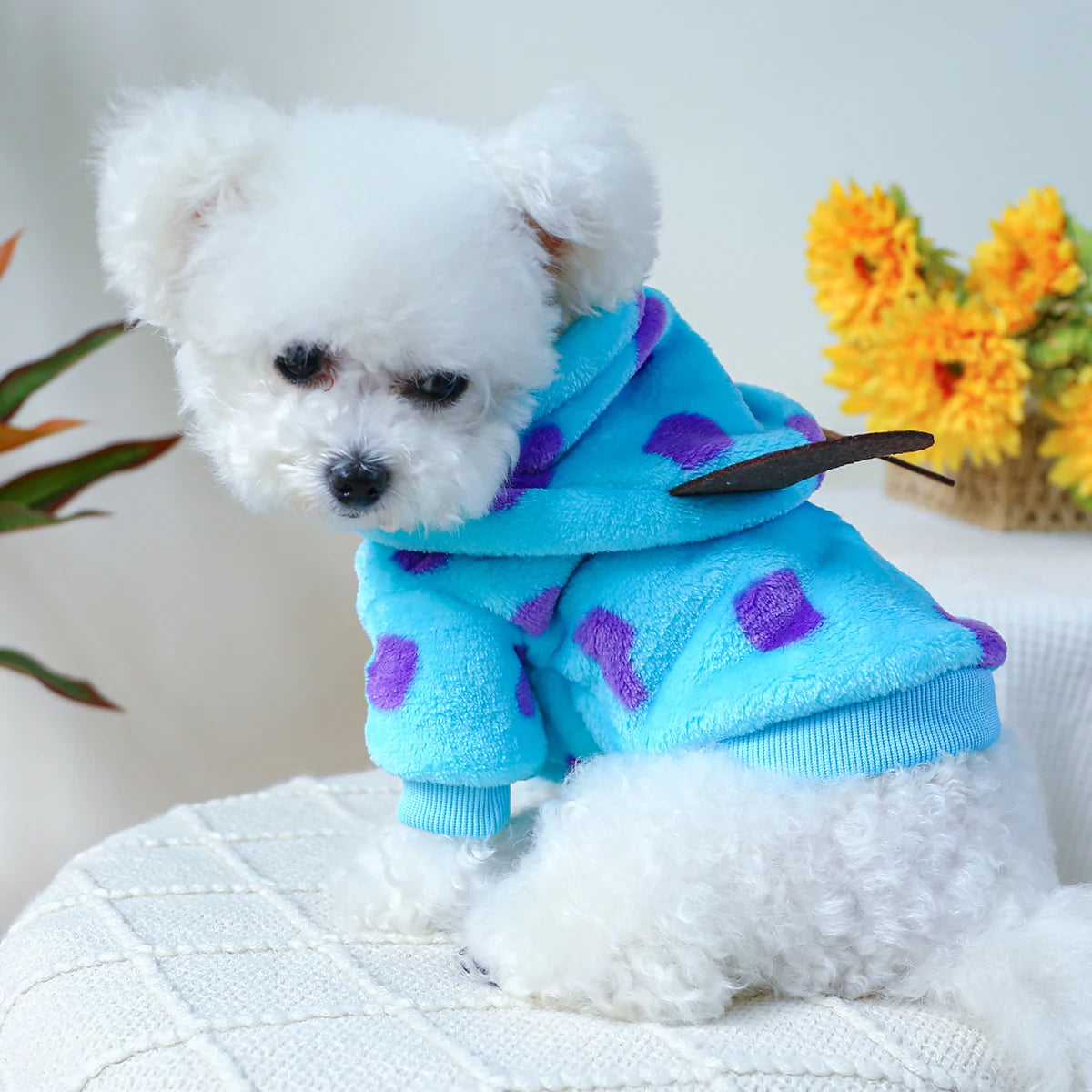 ๐ Coccole Mostruose per il Tuo Cucciolo ๐พ
