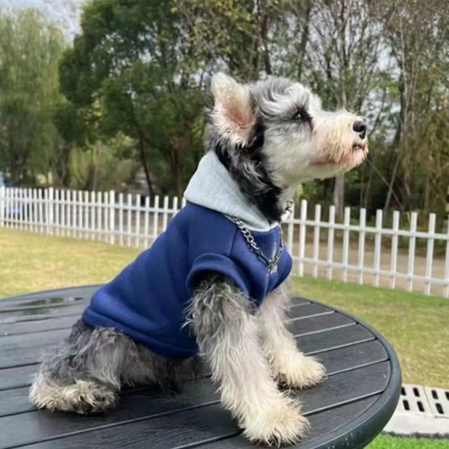 👶🐾 Felpa coccolosa per il tuo cucciolo 🐶❤️