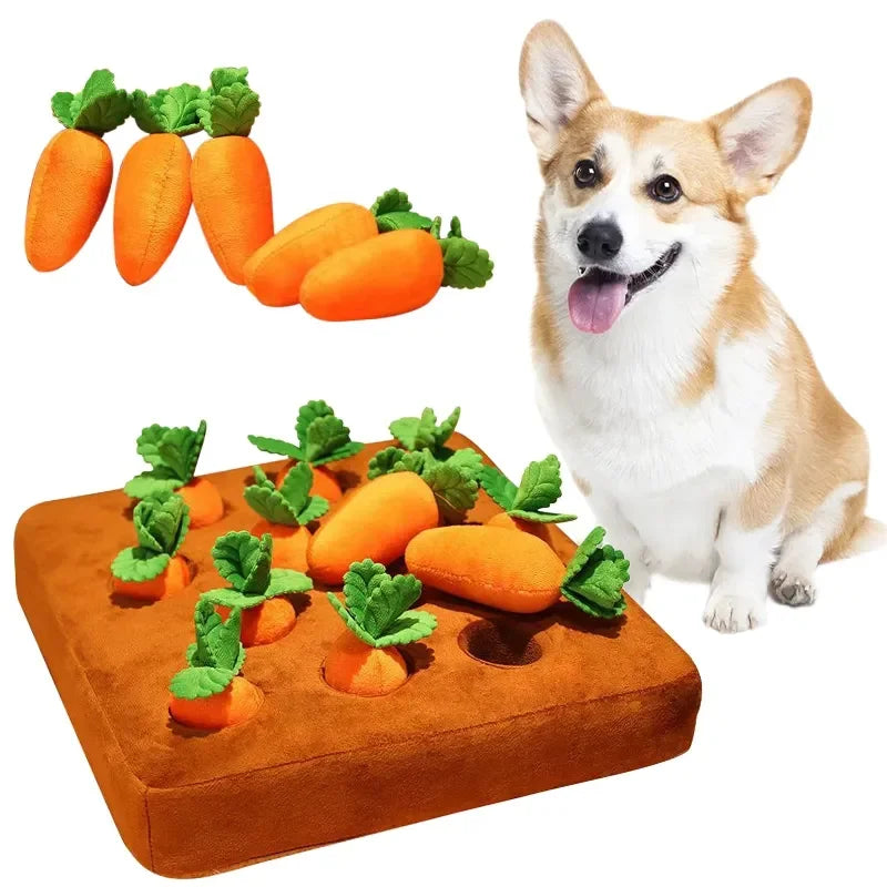 π₯ Il giocattolo Carota Morbidosa π