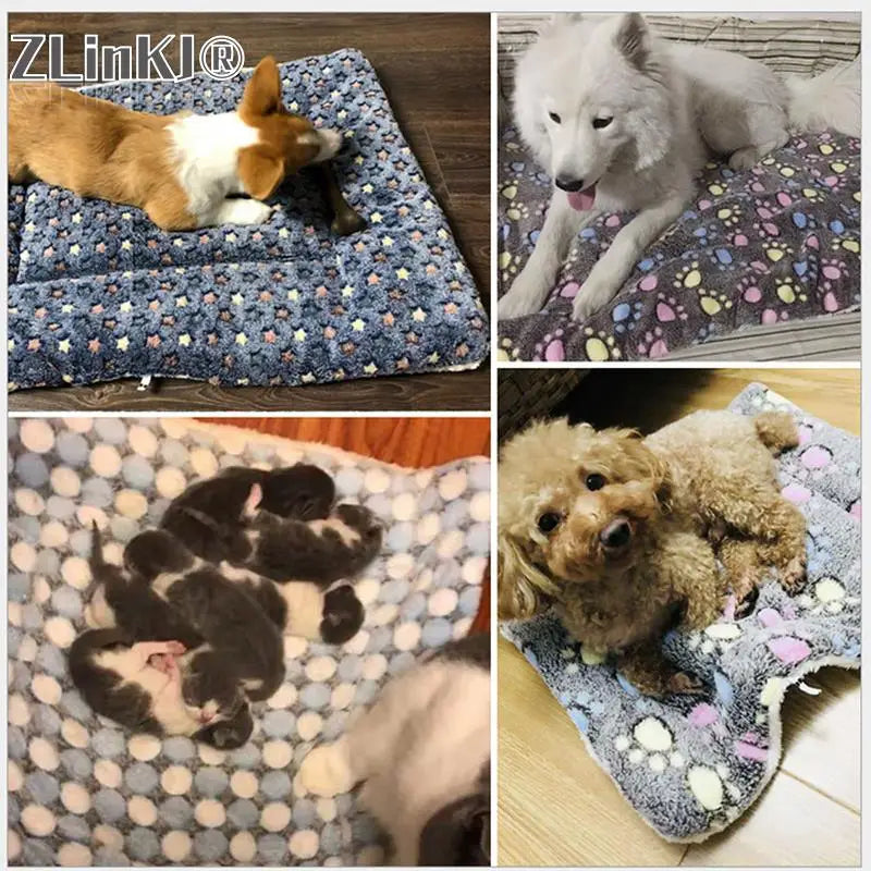 ✨ Morbidose copertine di coccole per i Tuoi Amici 🐾