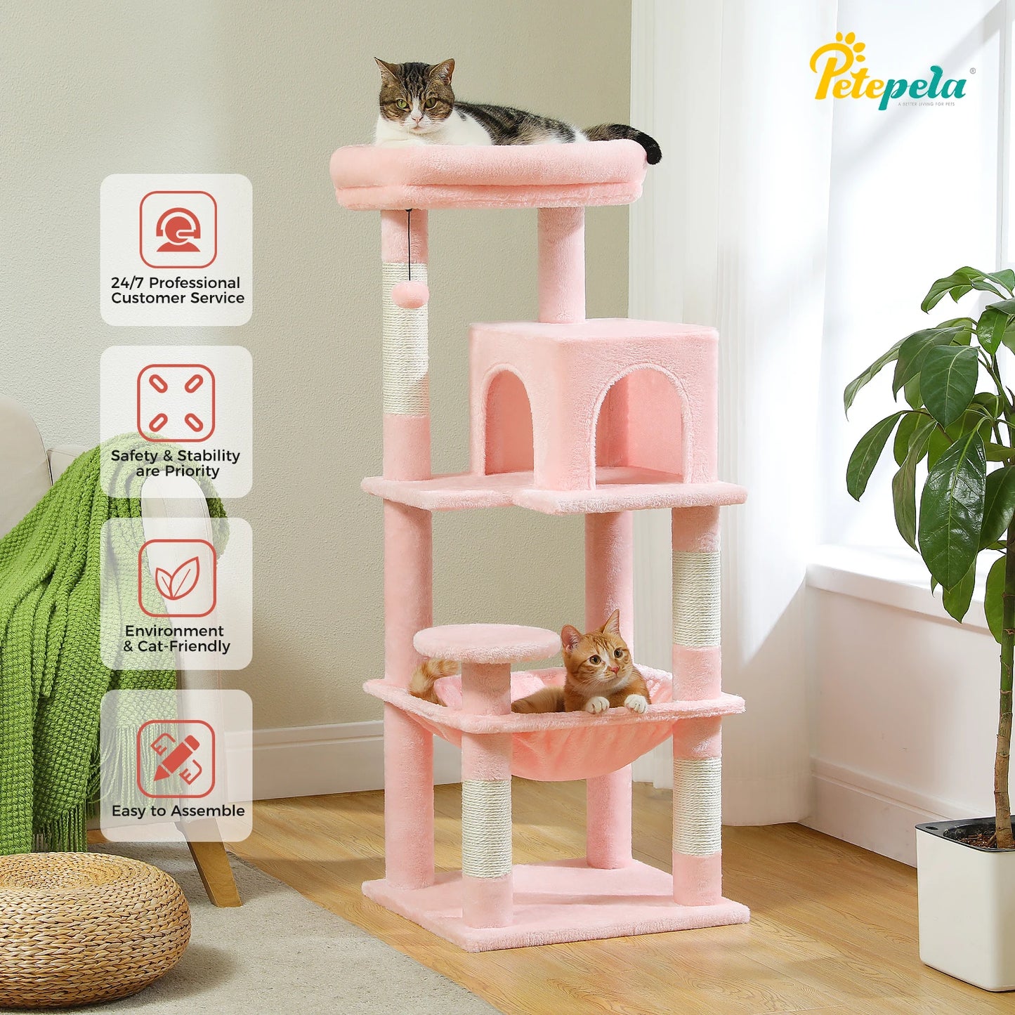 πΎ Torre delle meraviglie per gattini! π±β¨