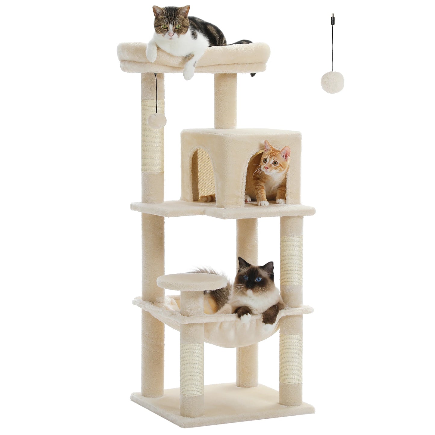 πΎ Torre delle meraviglie per gattini! π±β¨