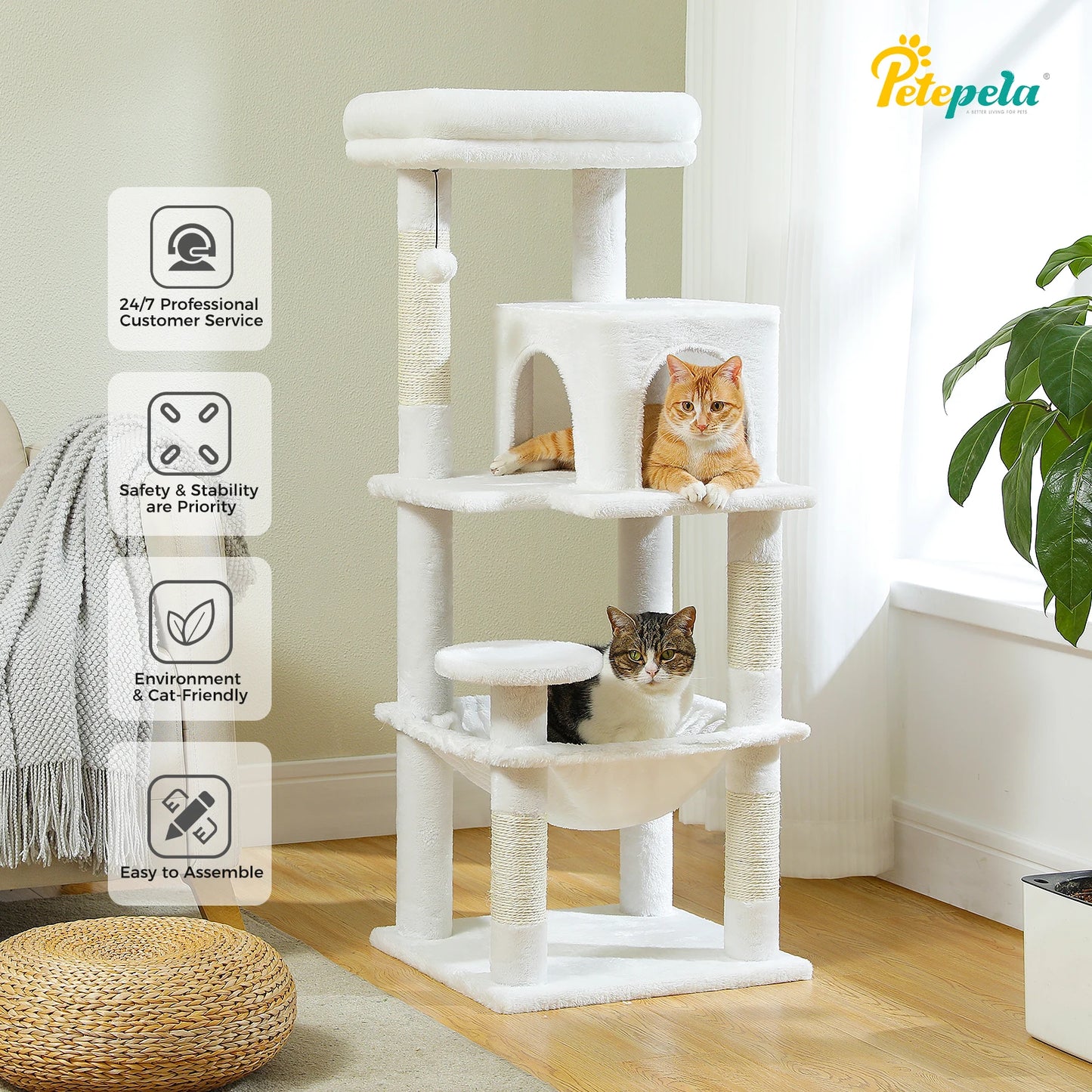 πΎ Torre delle meraviglie per gattini! π±β¨