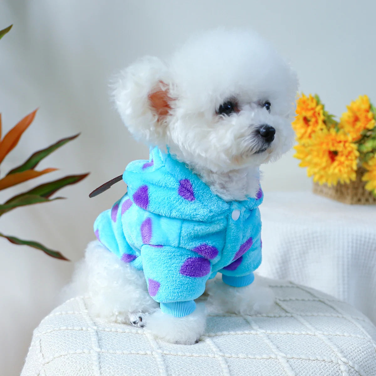 ๐ Coccole Mostruose per il Tuo Cucciolo ๐พ