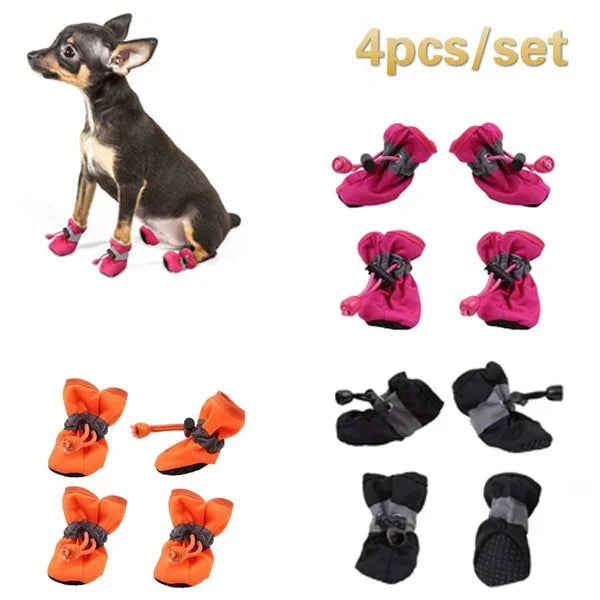 ๐ง๏ธ๐ฃ Scarpine coccole per zampette ๐พ