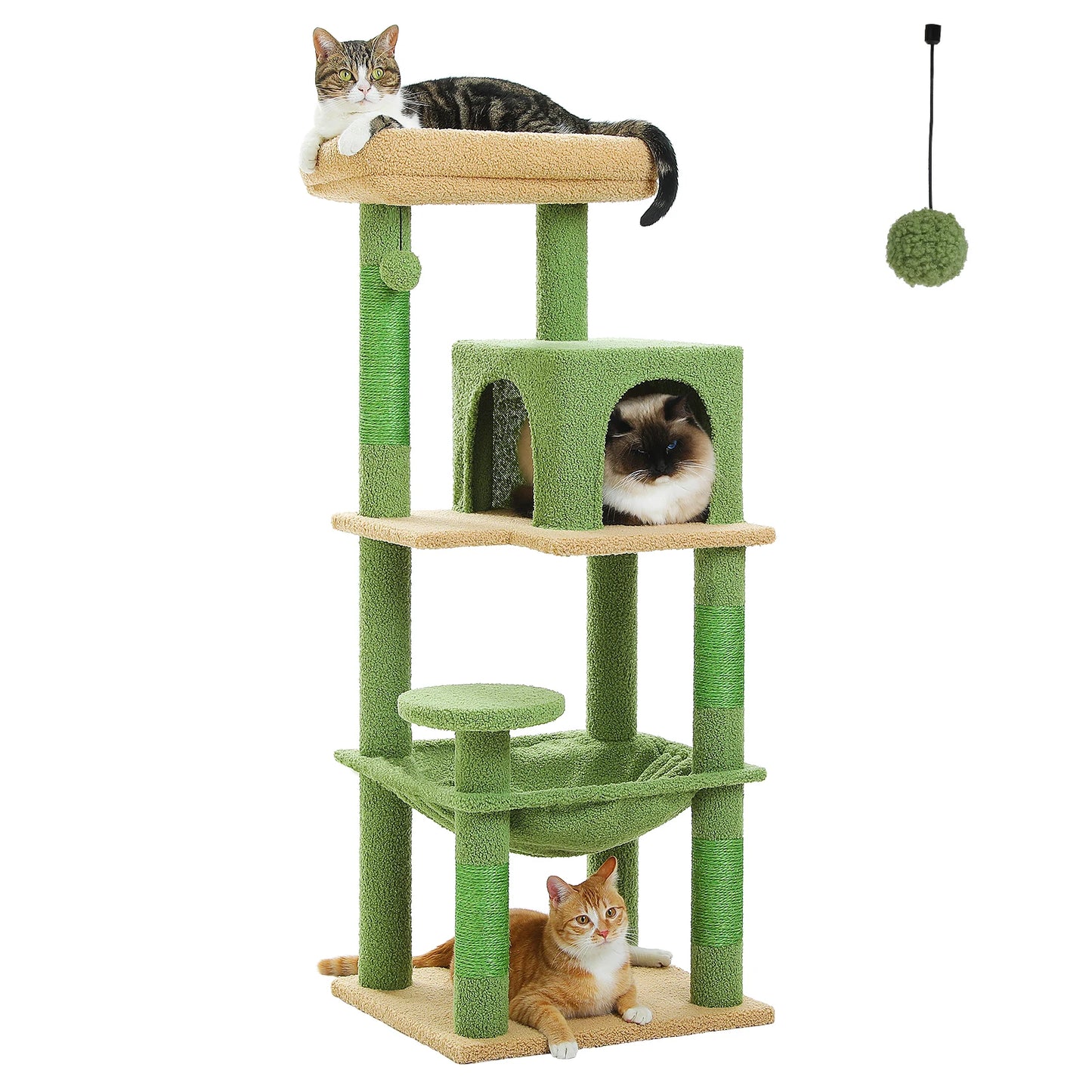 πΎ Torre delle meraviglie per gattini! π±β¨