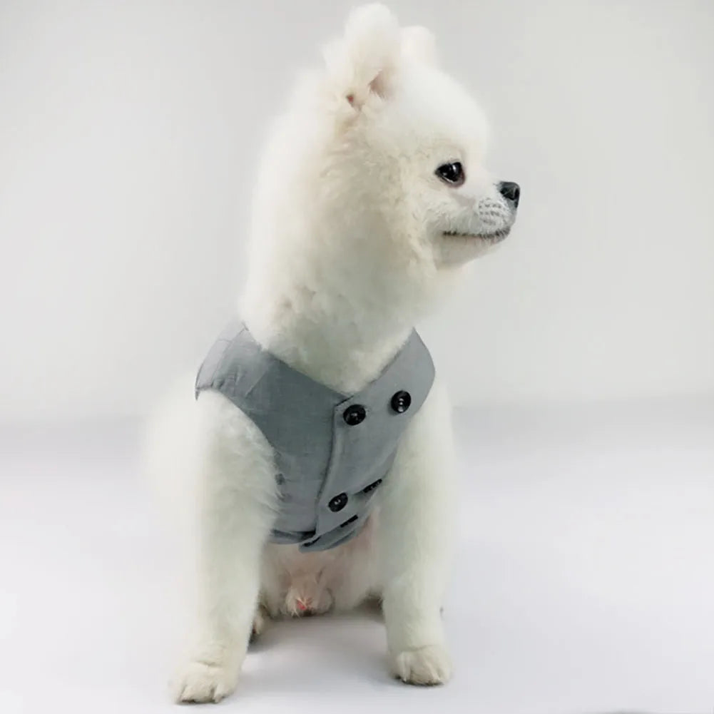 πβ¨ Cucciolo Chic in azione β¨π