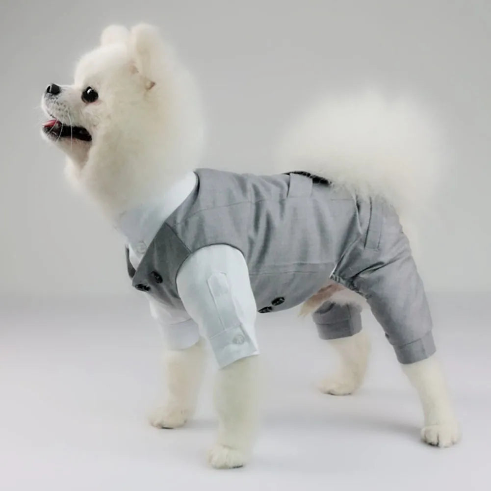 πβ¨ Cucciolo Chic in azione β¨π
