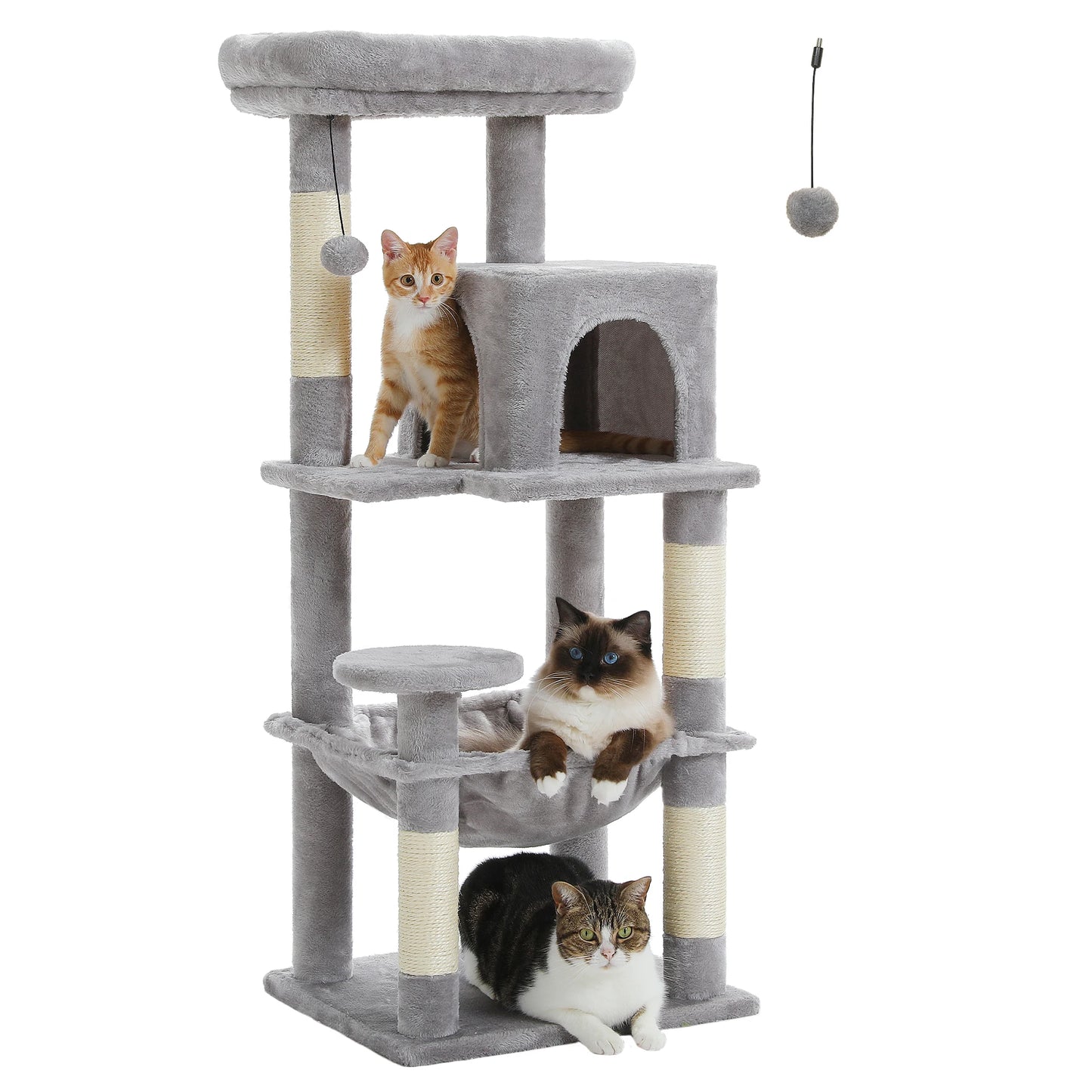 πΎ Torre delle meraviglie per gattini! π±β¨