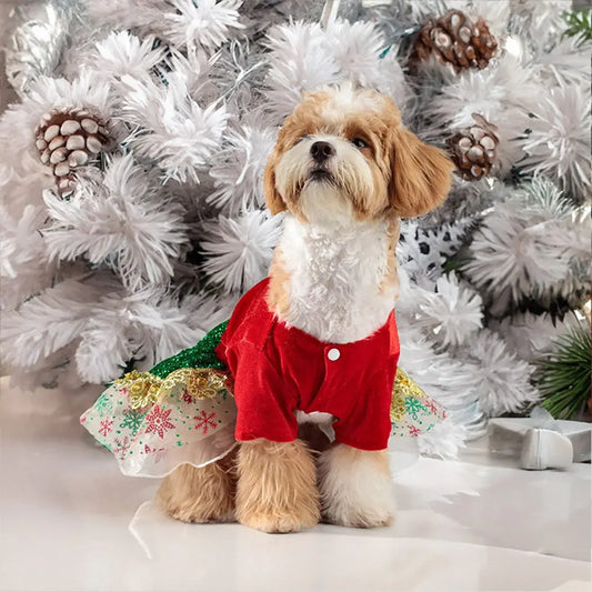 ππΎ Abbraccia il Natale con il Tuo Piccolo Amico πΆβ¨