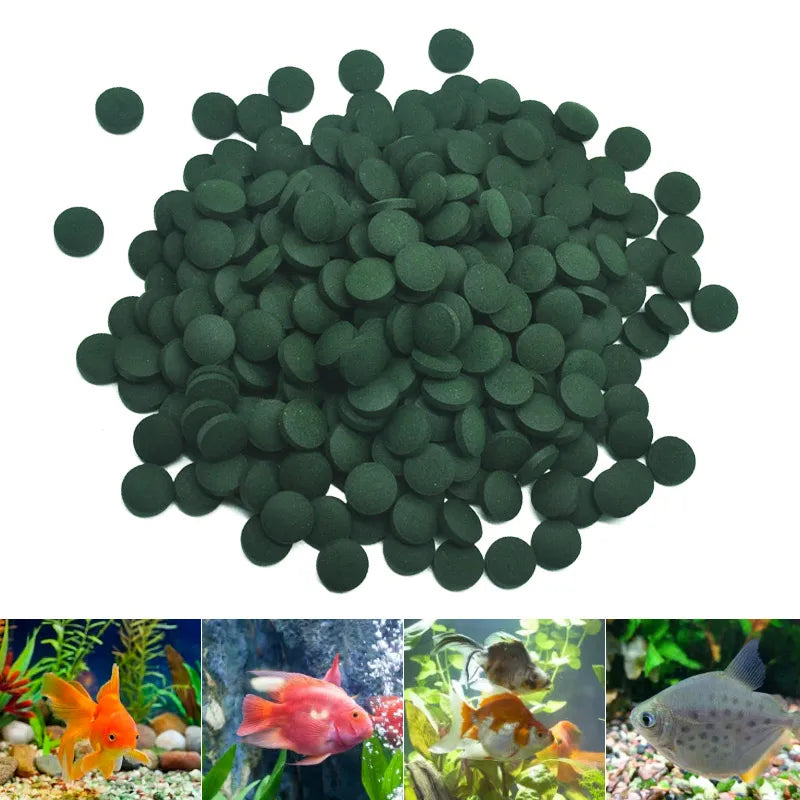 ππ Snack spirulina per il tuoi amici nell' acquario ππ