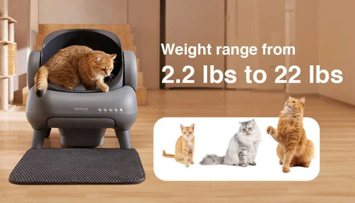 πΎ Magica Toilette per gatti autopulente: perfetta per il tuo amico π±π